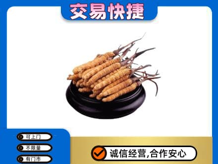 黄山黟县礼品回收散虫草.jpg